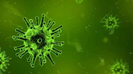 برنامه ویروس ها – ابولا