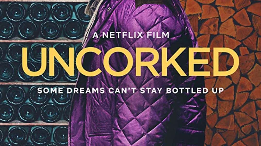 تریلر فیلم Uncorked 2020