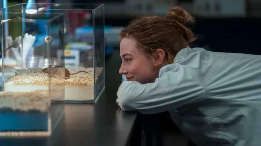 تیزر فیلم «The Love Hypothesis»
